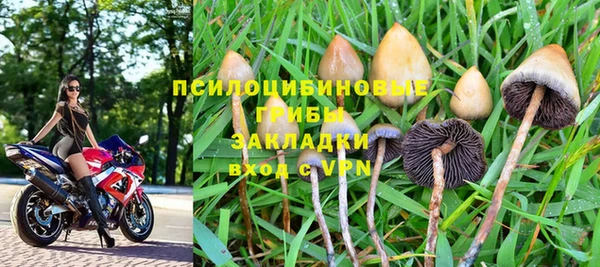 тгк Магадан
